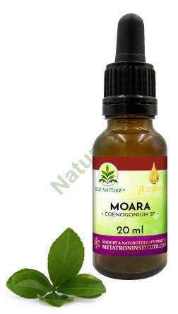 18. Moara - Kompozycja Ararêtama 20ml