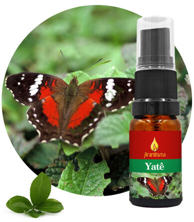 34. Yatê 10 ml Ararêtama Rainforest Essences