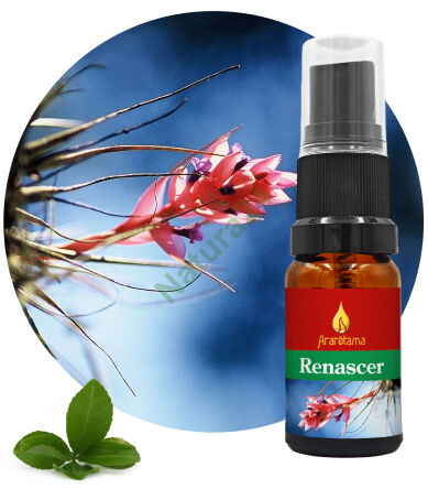24. Renascer 10 ml Ararêtama Rainforest Essences