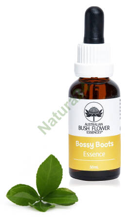 Bossy Boots - spray/krople 30 ml - Australian Bush Flower Essences -30%