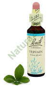 31. VERVAIN / Werbena pospolita 20 ml Nelson Bach Original Flower Remedies