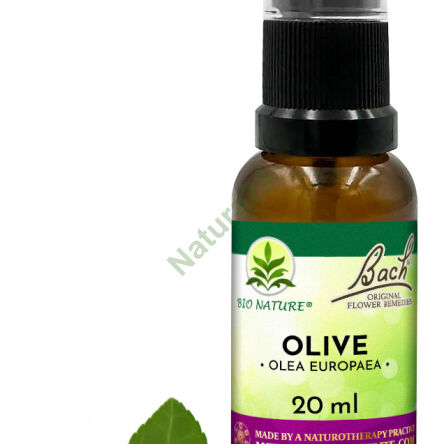 23. OLIVE / Oliwka - Kompozycja Bach Original Flower Remedies Nelson 20ml - 2