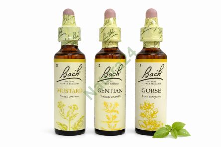 Zestaw wsparcia przy obniżeniu nastroju