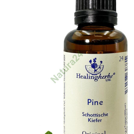 24. PINE / Pine 10/30 ml or globules 15 g - 3