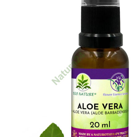 001. Aloe Vera - Kompozycja FES 20ml - 2