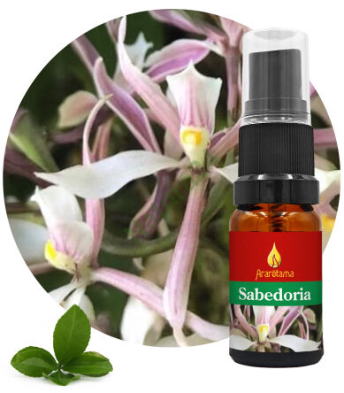 64. Wisdom Sabedoria 10 ml Ararêtama Rainforest Essences