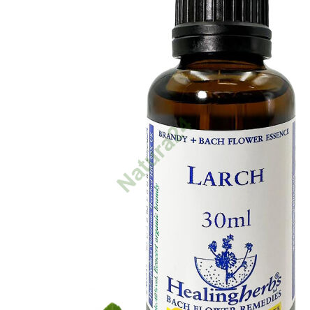 19. LARCH / Modrzew europejski 10/30 ml lub globulki 15 g - 3