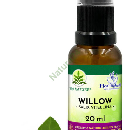 38. WILLOW / Wierzba biała - Kompozycja HealingHerbs 20ml - 2