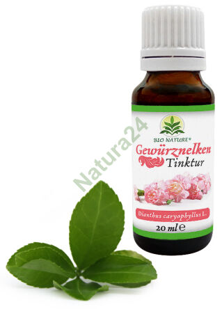 Extract Tincture (Infusion) from Cloves 20ml