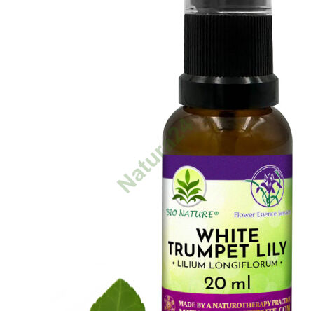 098. White Trumpet Lily (Easter Lily) - Kompozycja FES 20ml - 2