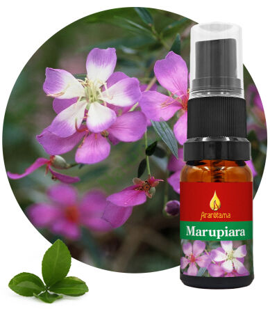 17. Marupiara 10 ml Ararêtama Rainforest Essences