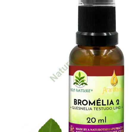04. Bromélia 2 - Kompozycja Ararêtama 20ml - 2