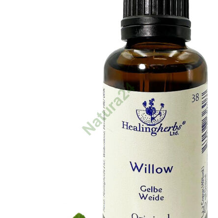 38. WILLOW / White willow 10/30 ml or globules 15 g - 3