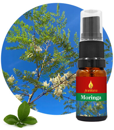 53. Moringa 10 ml Ararêtama Rainforest Essences