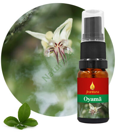 22. Oyamã 10 ml Ararêtama Rainforest Essences