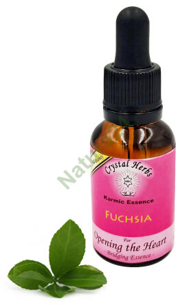 Crystal Herbs – Fuchsia (Esencja karmiczna) – 25 ml
