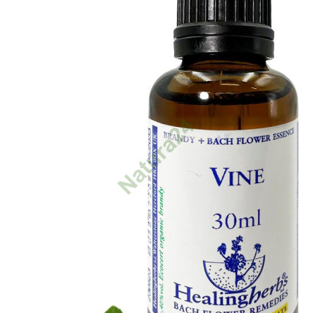 32. VINE / Common grapevine 10/30 ml or globules 15 g - 3