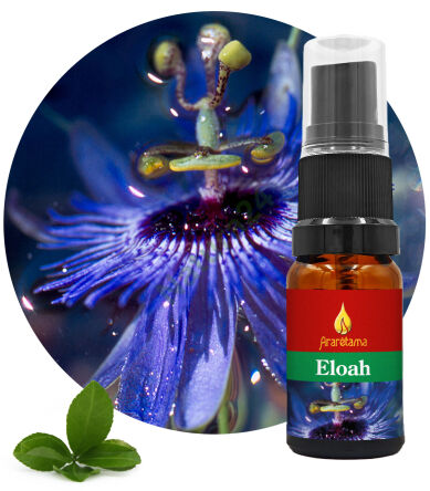09. Eloah 10 ml Ararêtama Rainforest Essences