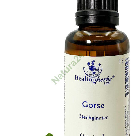 13. GORSE / Western Broom 10/30 ml or globules 15 g - 3