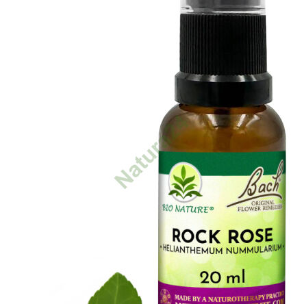 26. ROCK ROSE / Posłonek kutnerowaty - Kompozycja Bach Original Flower Remedies Nelson 20ml - 2