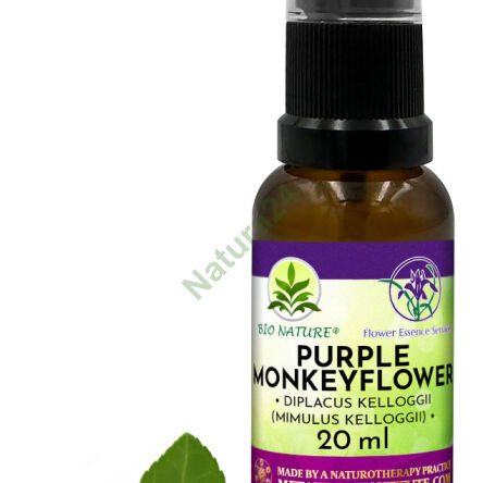 071. Purple Monkeyflower - Kompozycja FES 20ml - 2