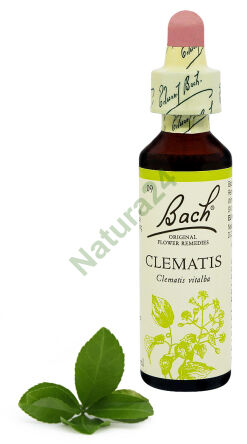 9. CLEMATIS / Powojnik pnący 20 ml Nelson Bach Original Flower Remedies englisch