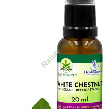 35. WHITE CHESTNUT / Kasztanowiec zwyczajny - Kompozycja HealingHerbs 20ml - 2