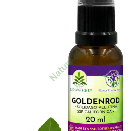 040. Goldenrod - Kompozycja FES 20ml - 2
