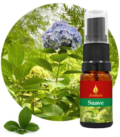 59. Suave 10 ml Ararêtama Rainforest Essences