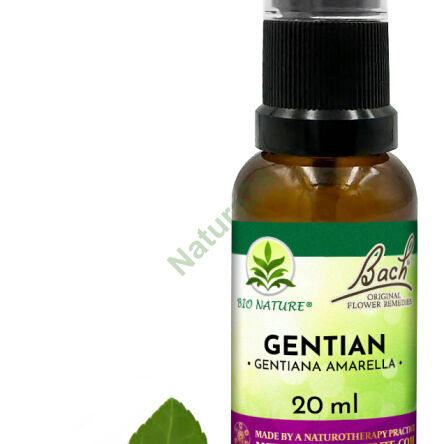 12. GENTIAN / Goryczka gorzkawa - Kompozycja Bach Original Flower Remedies Nelson 20ml - 2