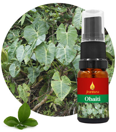 20. Obaiti 10 ml Ararêtama Rainforest Essences