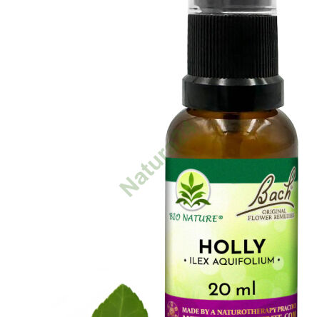 15. HOLLY / Ostrokrzew kolczasty - Kompozycja Bach Original Flower Remedies Nelson 20ml - 2