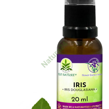 045. Iris - Kompozycja FES 20ml - 2