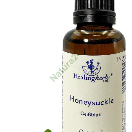 16. HONEYSUCKLE / Wiciokrzew przewiercień 10/30 ml lub globulki 15 g - 3