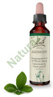 1. AGRIMONY / Rzepik pospolity 20 ml Nelson Bach Original Flower Remedies