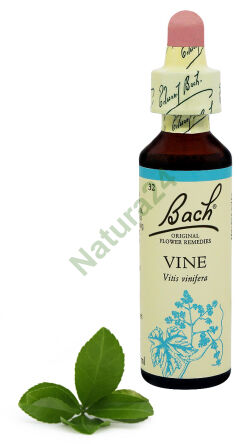 32. VINE / Winorośl właściwa 20 ml Nelson Bach Original Flower Remedies