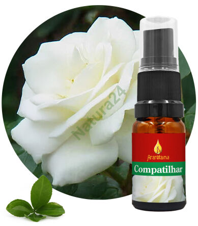 62. To Share Compatilhar 10 ml Ararêtama Rainforest Essences