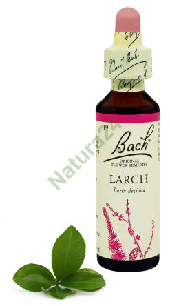 19. LARCH / Modrzew europejski 20 ml Nelson Bach Original Flower Remedies