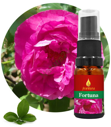 46. Fortuna 10 ml Ararêtama Rainforest Essences