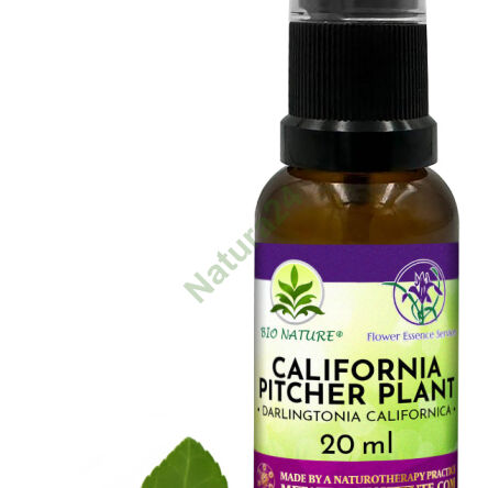 015. California Pitcher Plant - Kompozycja FES 20ml - 2