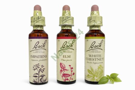 Zestaw wsparcia w stanie stresu