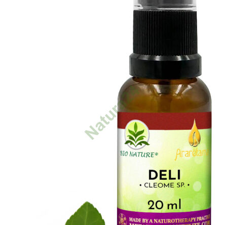 08. Deli - Kompozycja Ararêtama 20ml - 2