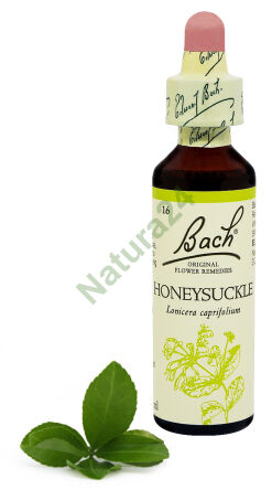 16. HONEYSUCKLE / Wiciokrzew przewiercień 20 ml Nelson Bach Original Flower Remedies