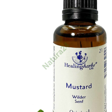 21. MUSTARD / Field mustard 10/30 ml or globules 15 g - 3