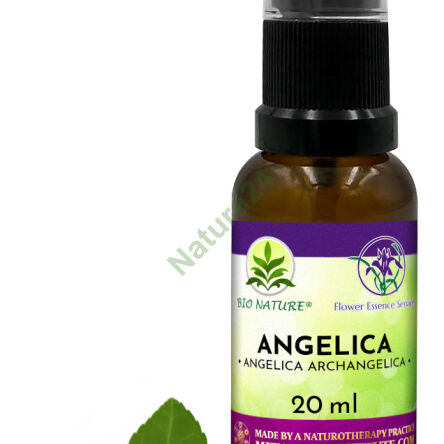 004. Angelica - Kompozycja FES 20ml - 2