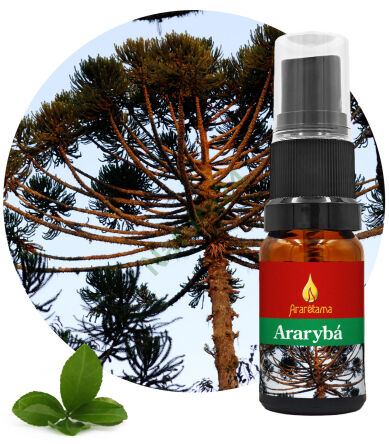 01. Ararybá 10 ml Ararêtama Rainforest Essences