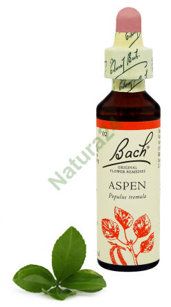 2. ASPEN / Osika 20 ml Nelson Bach Original Flower Remedies englisch