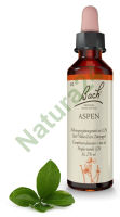 2. ASPEN / Osika 20 ml Nelson Bach Original Flower Remedies