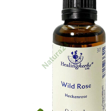 37. WILD ROSE / Wild rose 10/30 ml or globules 15 g - 3